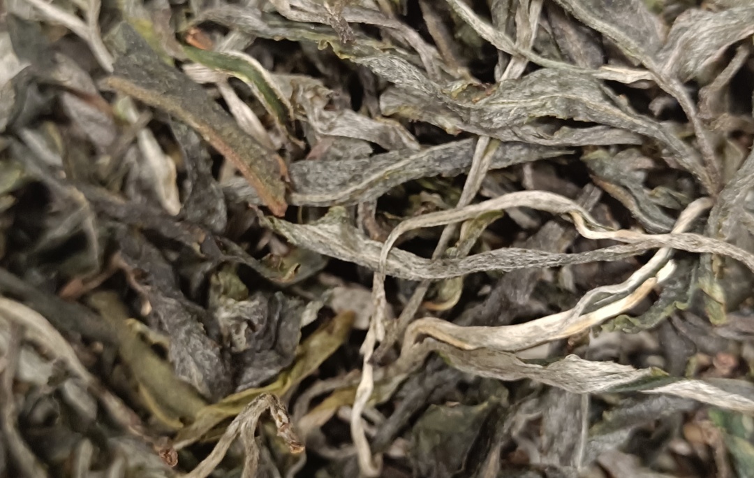 普洱茶友喝茶历程表,普洱茶界顶级茶痴