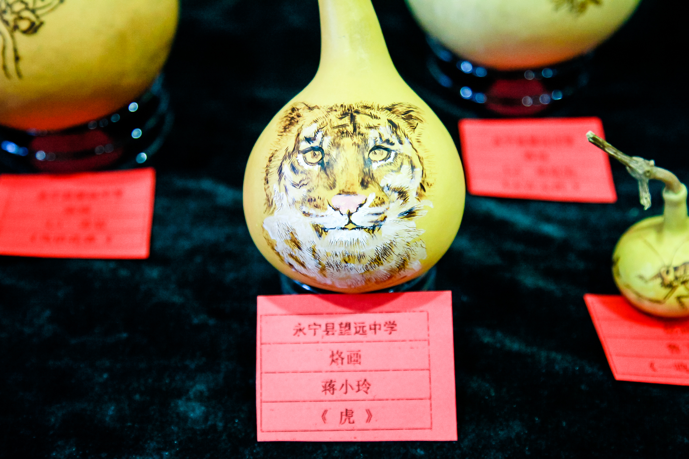 银川市第二届乡村学校少年宫优秀成果展演大赛永宁赛区开赛