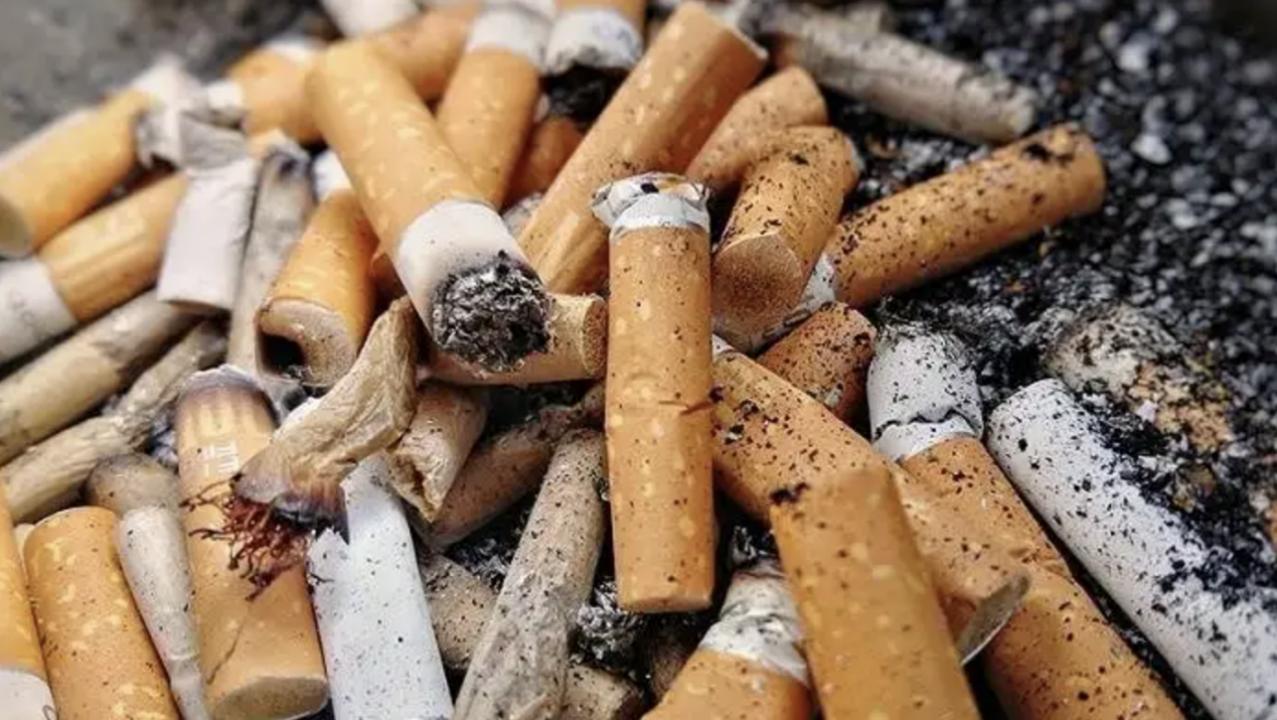 日本收购烟头有什么秘密,日本高价收购我国烟头