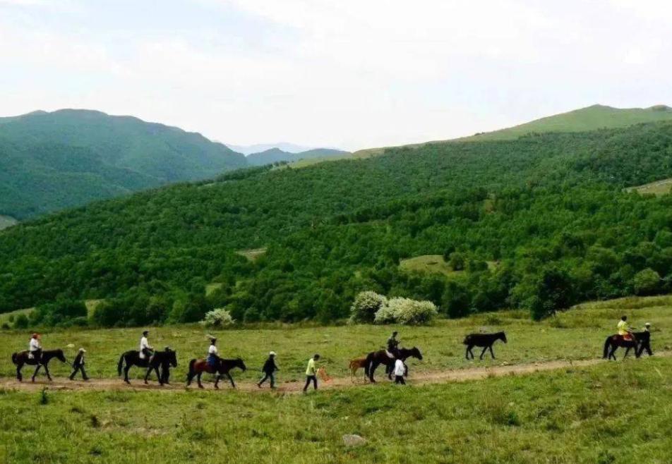 黄山景点关闭最新消息,黄山冬季关闭景区