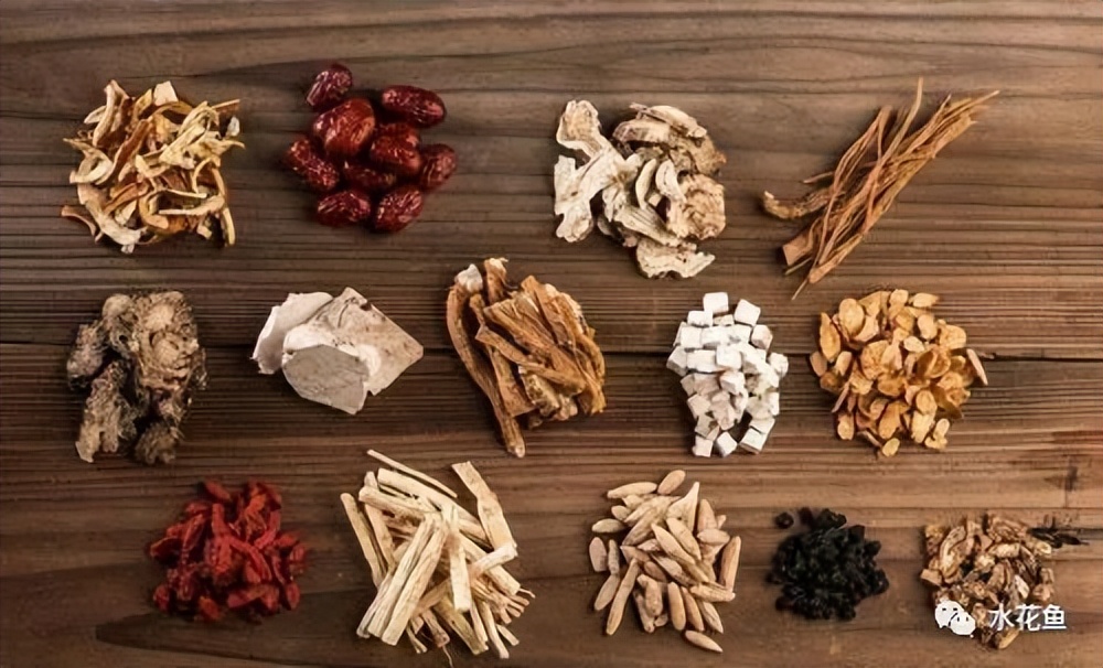 12种水产病害防治,你对水产动物病害的初步认识