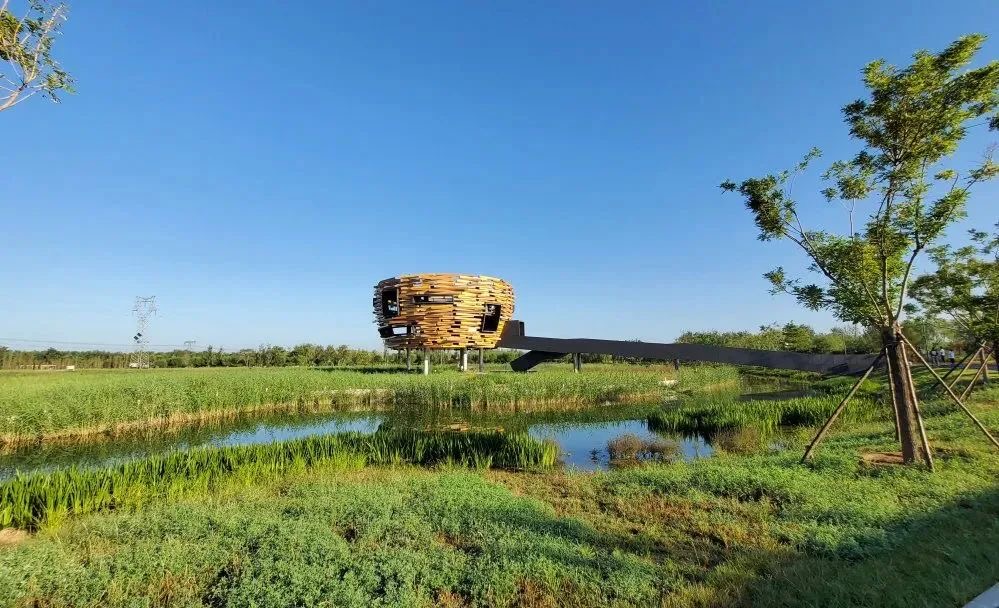 花园城市是哪座,花园城市夜景