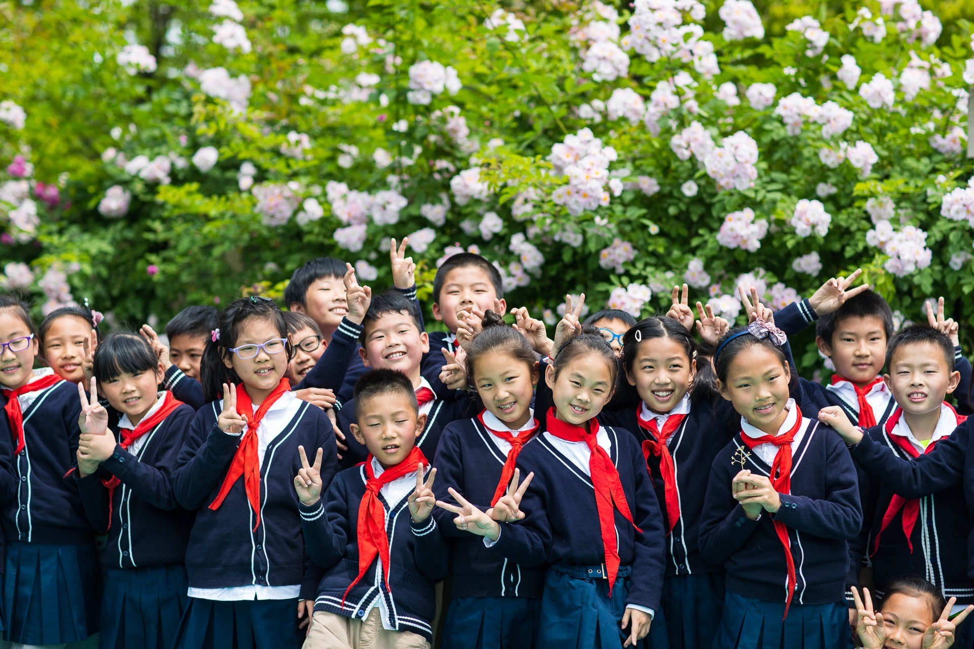 南京市致远外国语小学施教区,南京致远外国语小学一年级