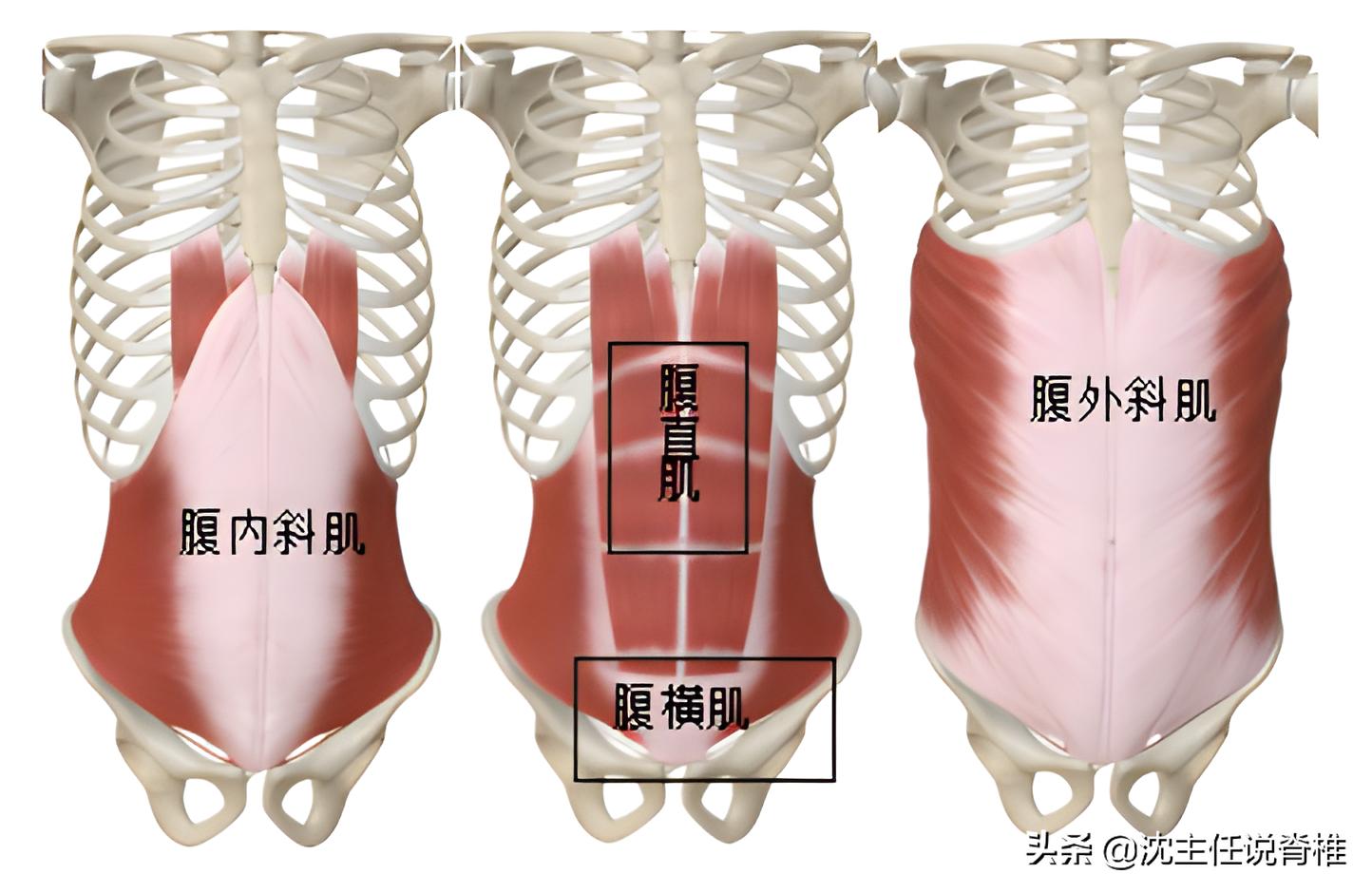 产后小腹突出，总是收不回去？教你一招躺着就能瘦小腹