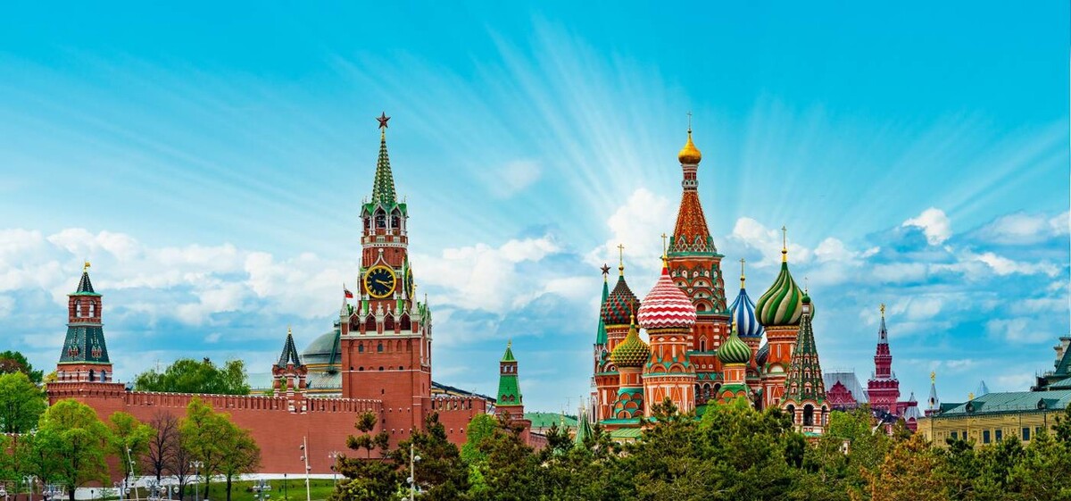 怒放的生命爆发,盛开的花朵怒放的生命