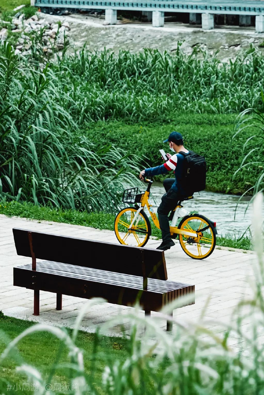 25年最挣钱的行业,25年自行车市场