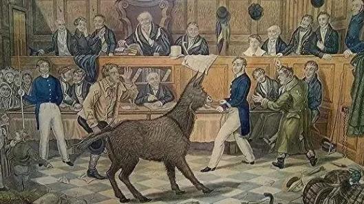 代理权：南卡罗莱殖民地的形成以及律师制度