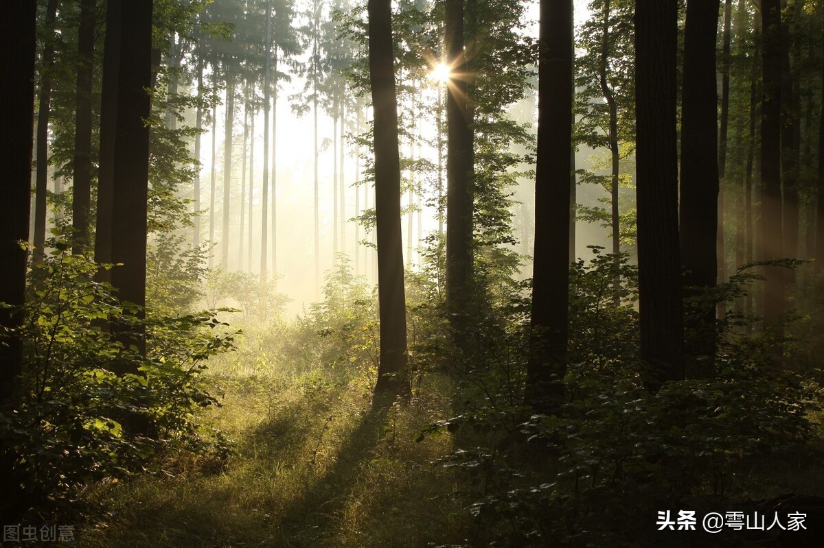 江西地方怎么样,江西是一个什么样的省份