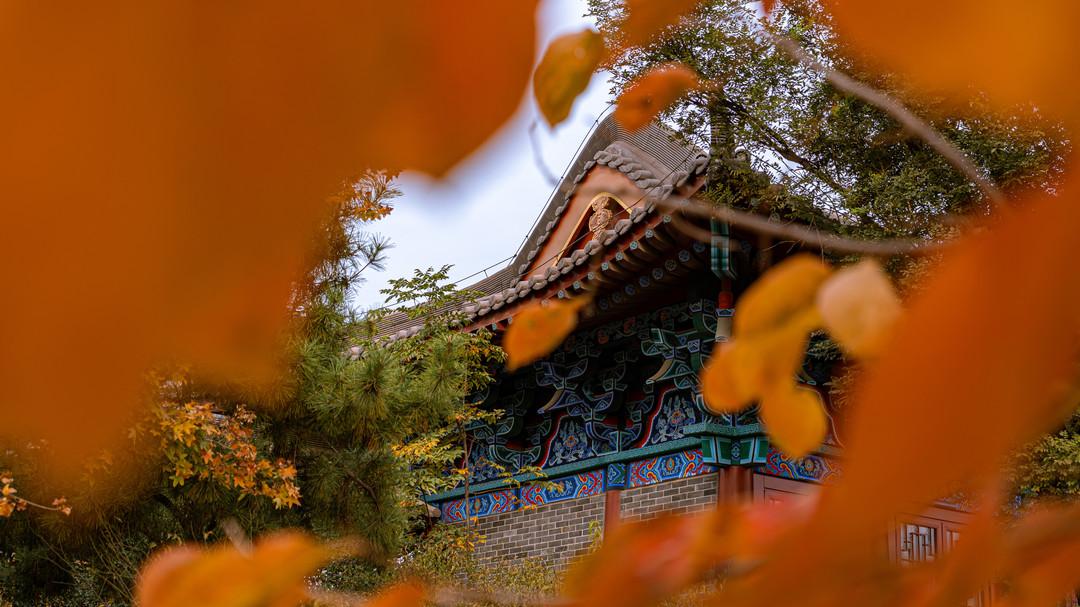 深圳元旦出游攻略,南宁元旦出游攻略