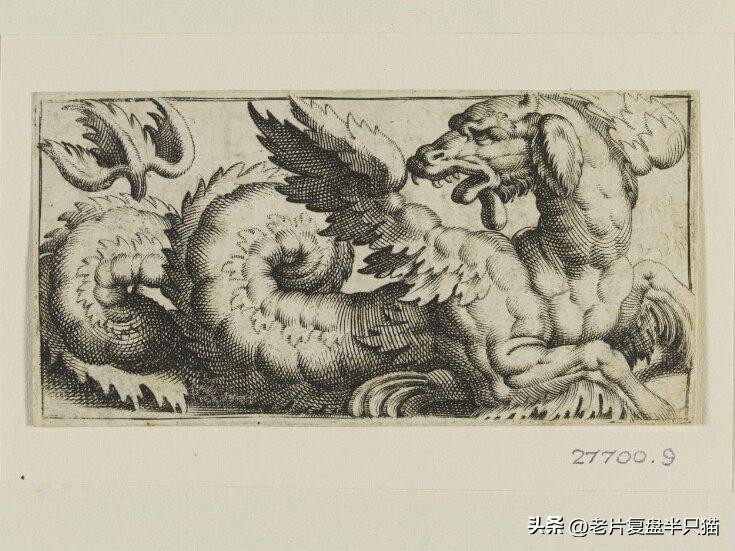 哥斯拉20个泰坦解析,哥斯拉2泰坦巨兽彩蛋