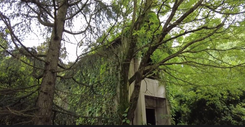 贵阳市废弃别墅群,贵阳荒废别墅群