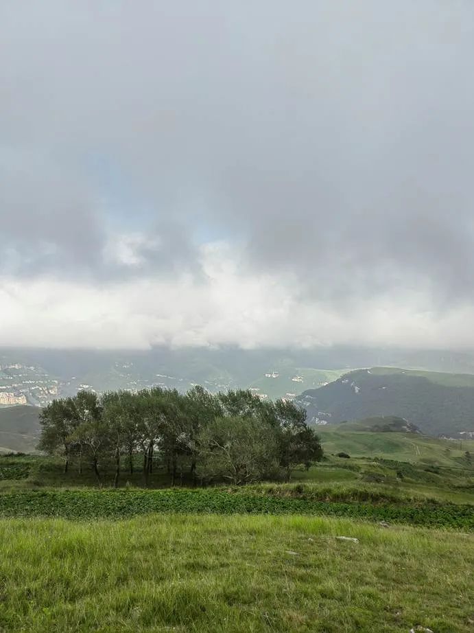 灏忓ぉ灞遍夯鐢板箔鏅尯鍦ㄥ摢,楹荤敯宀皬澶╁北鐢ㄩ绾﹀悧