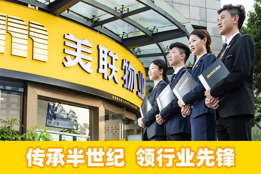 美联物业深度解析,美联物业真实经历