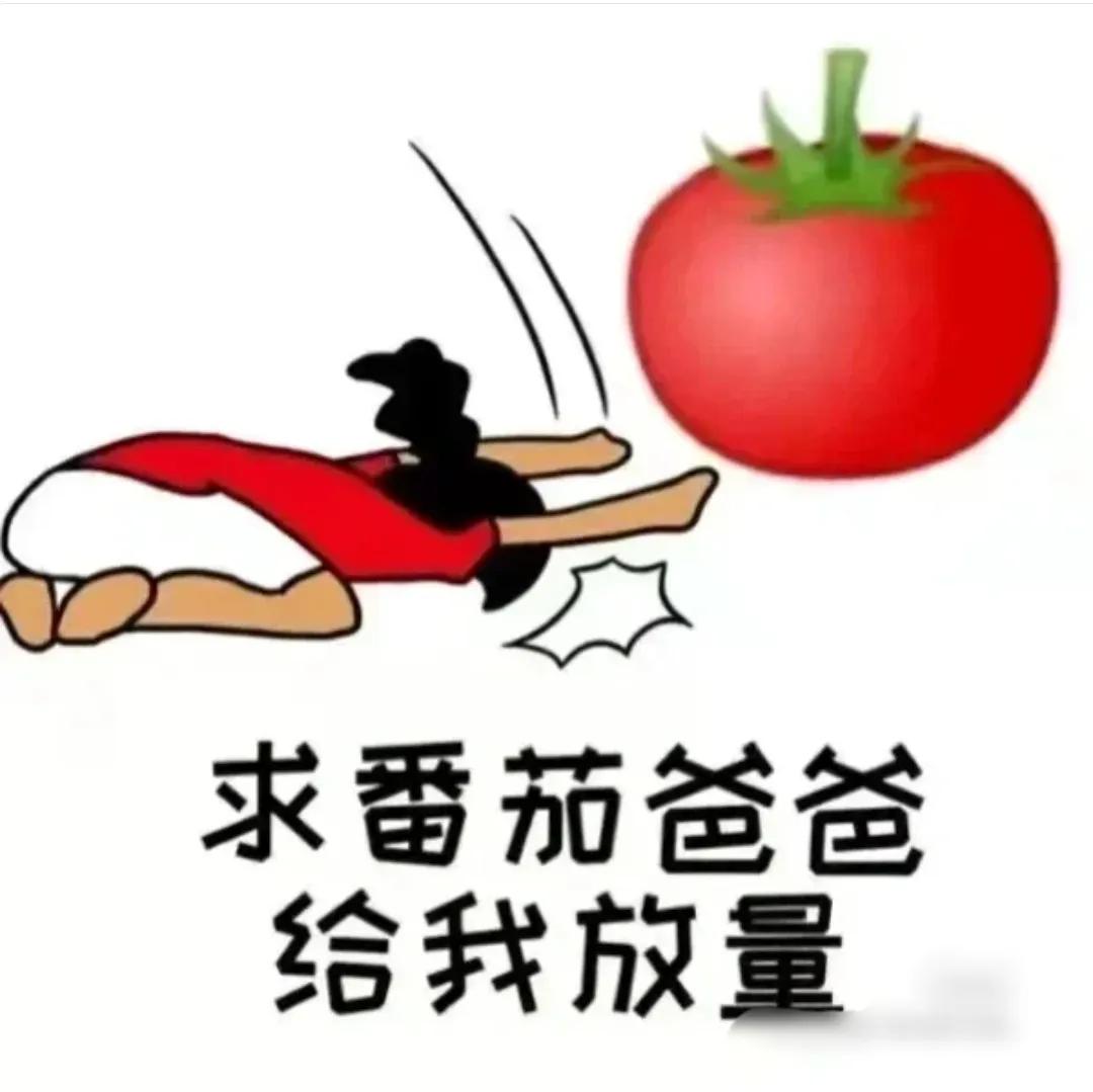 哪个网站写网文最容易签约,哪个网站写网文适合新手签约