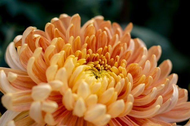 涓勾浠ュ悗濠氬Щ,涓勾濠氬Щ瀹炴儏