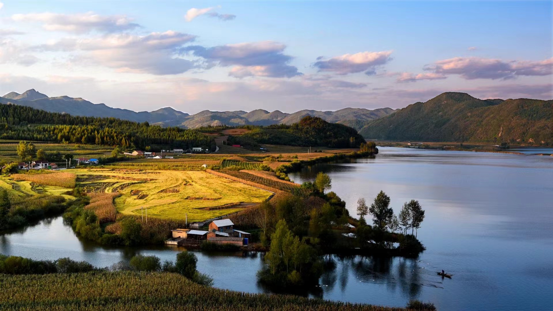 稻田养蟹成致富新门路,稻田蟹怎么清洁稻田