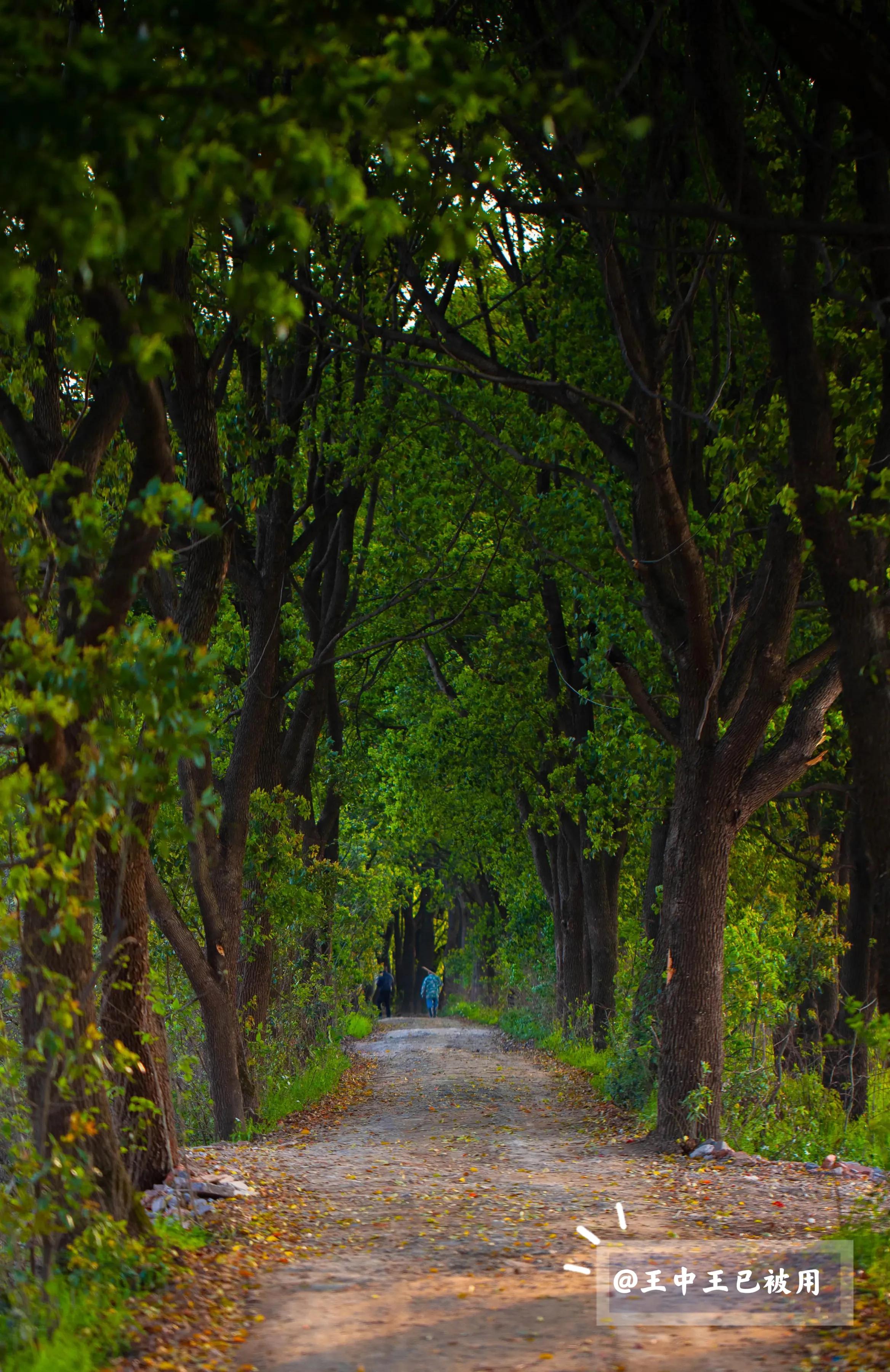萧山五丰岛游玩攻略,杭州五丰岛旅游
