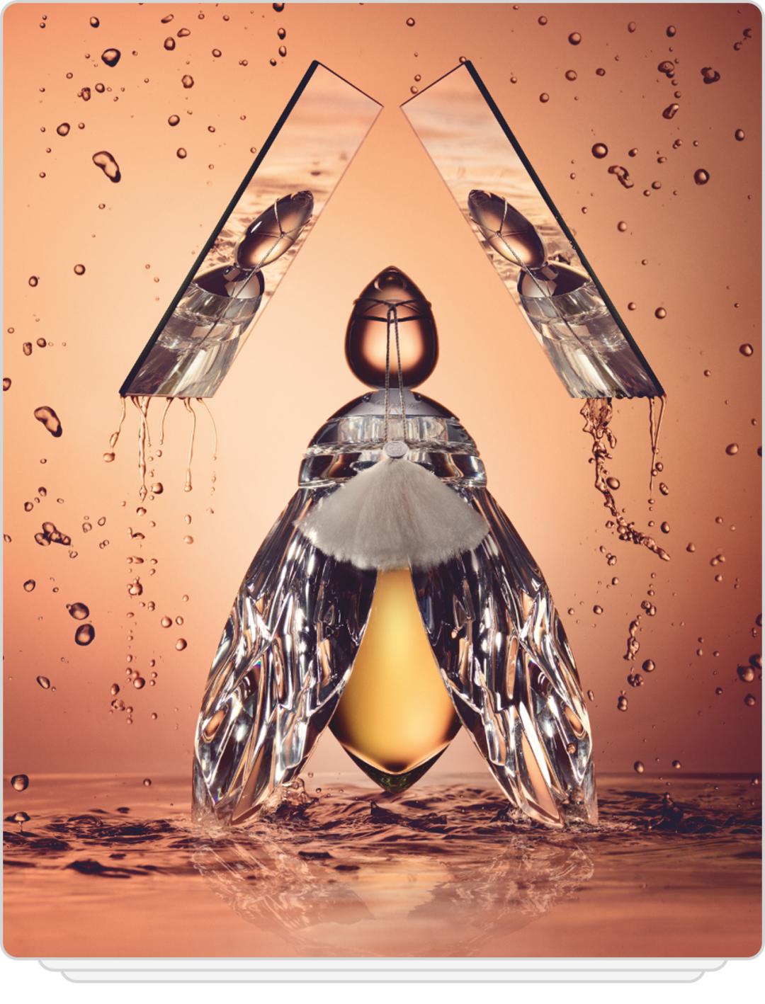 谐音广告语,谐音广告语五年级下册