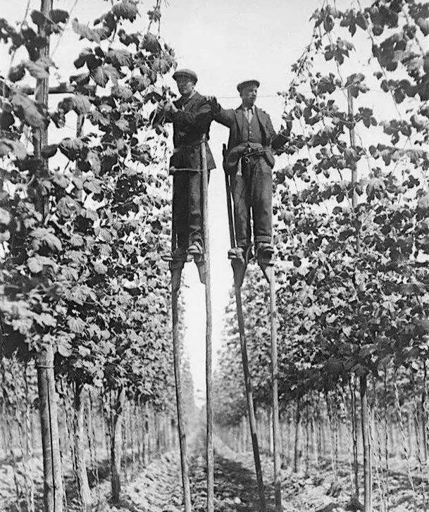 晚清真实老照片:花楼女子媚态百出,溥仪的乳娘丰乳肥臀!