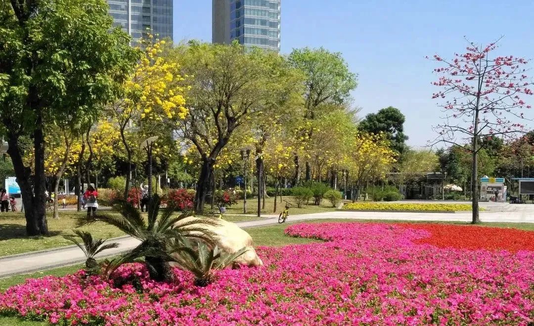 珠江新城凯旋新世界176方,珠江新城凯旋新世界成交价