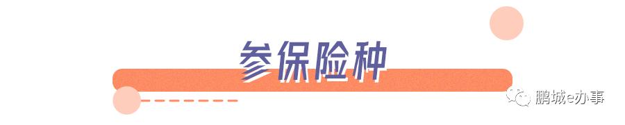 深圳非深户个人缴纳社保流程,深圳非深户怎么个人缴纳社保步骤