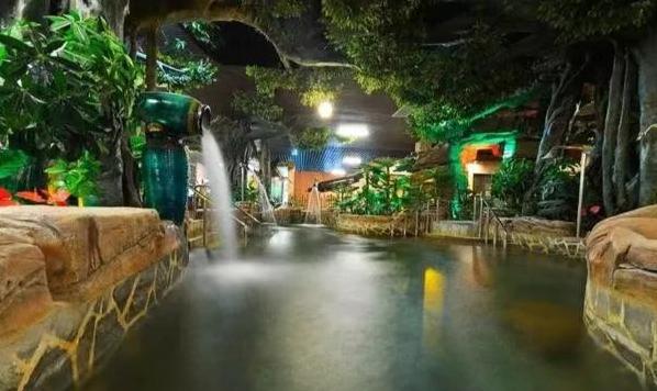 欧乐堡海洋极地公园攻略,欧乐堡最全游玩攻略请收好