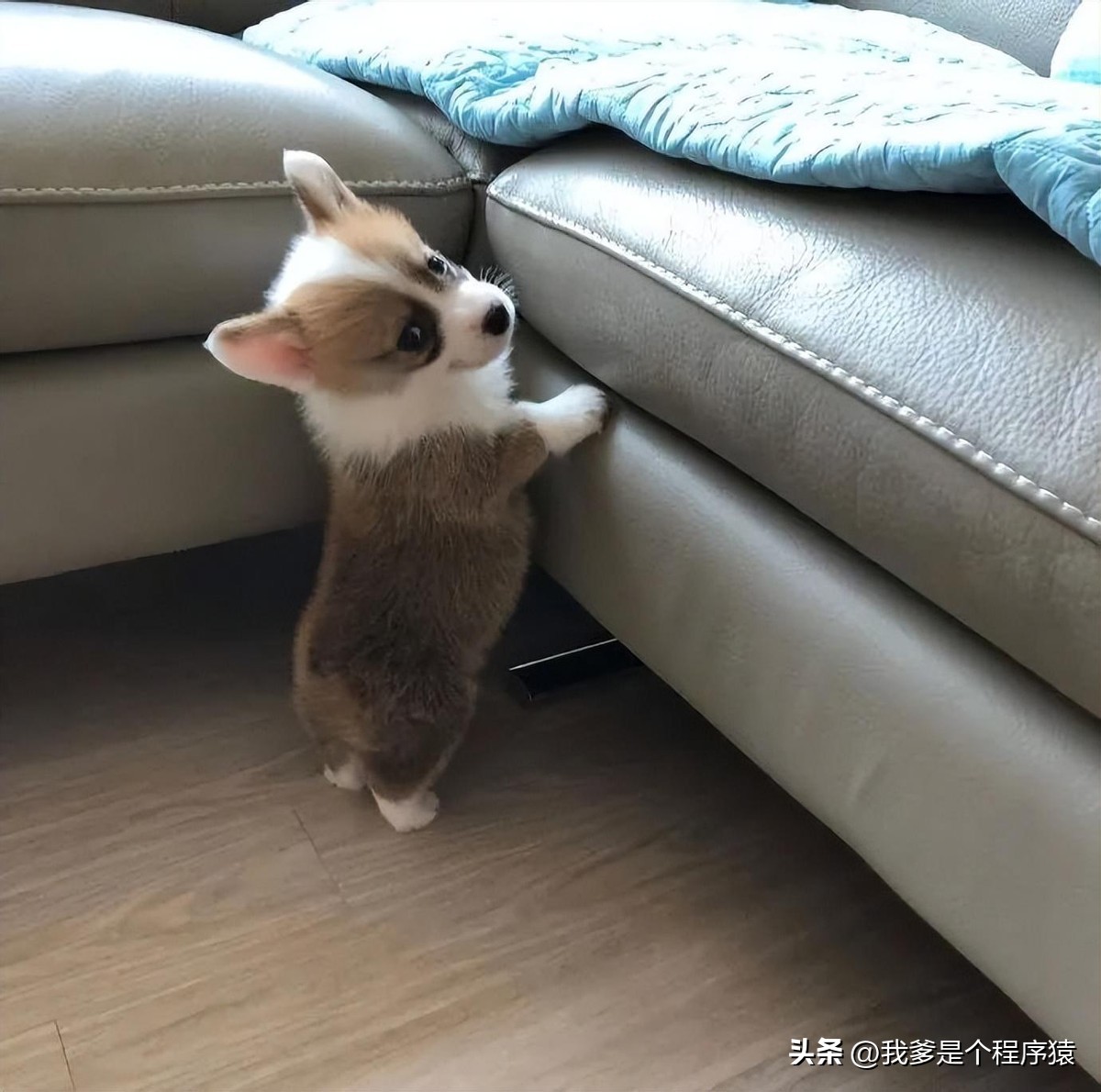 优选段子100个,优选幽默搞笑