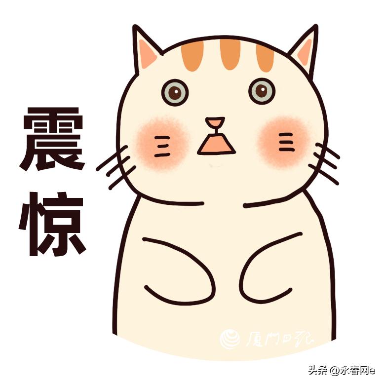 永春女子被骗案例,一女子炒股被骗70万