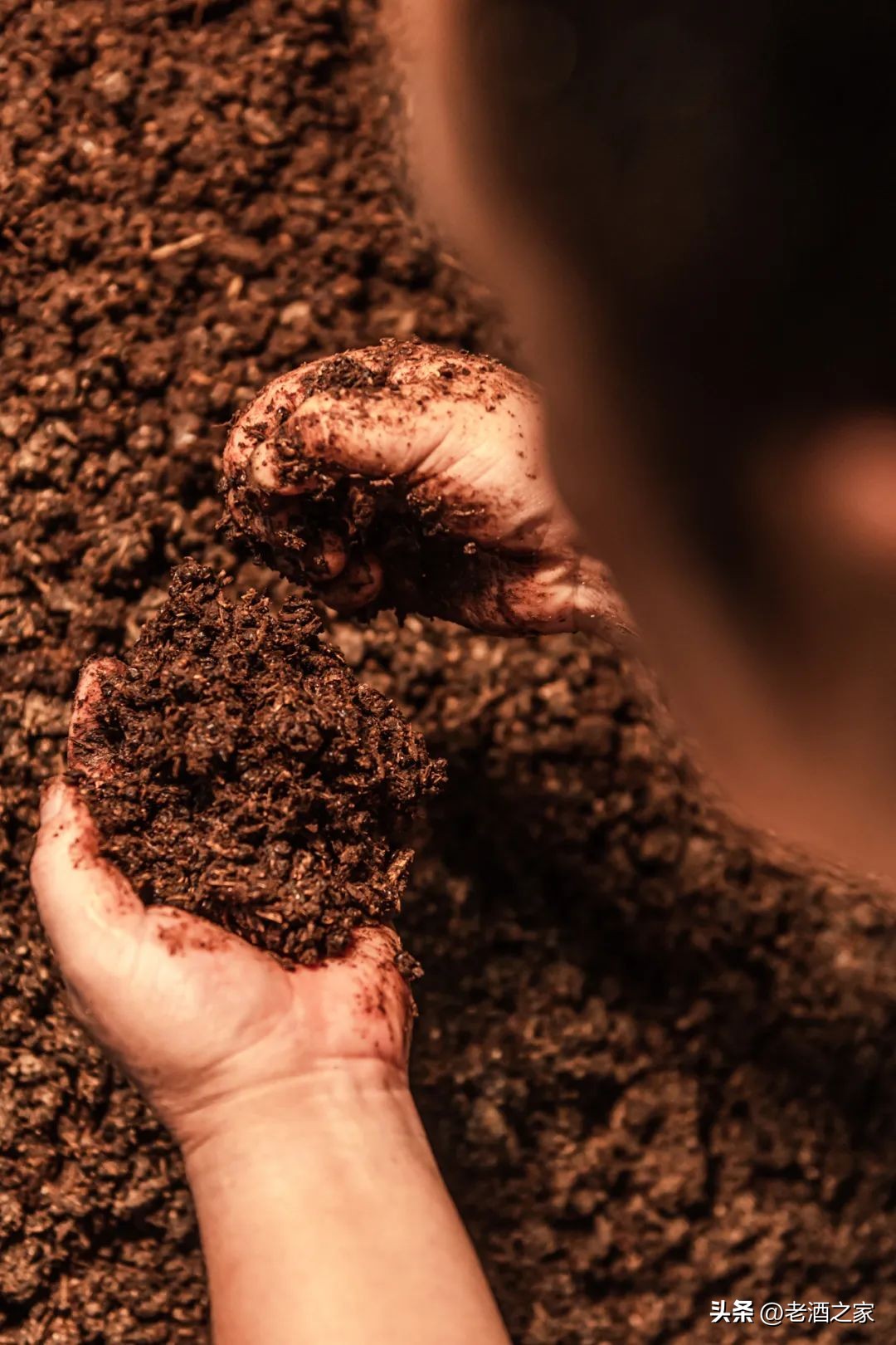 在茅台酒厂上班是什么体验,茅台酒厂上班工资多少