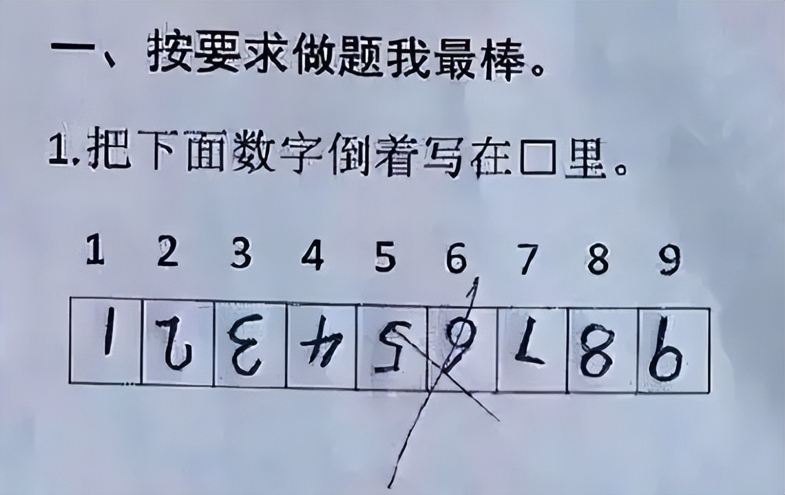 狐狸吵架的歇后语谐音,狐狸吵架歇后语什么意思