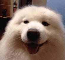 学生党看过来百元内护肤推荐,百元小众护肤推荐