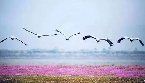 苦难的过去，救我们生命的鄱阳湖