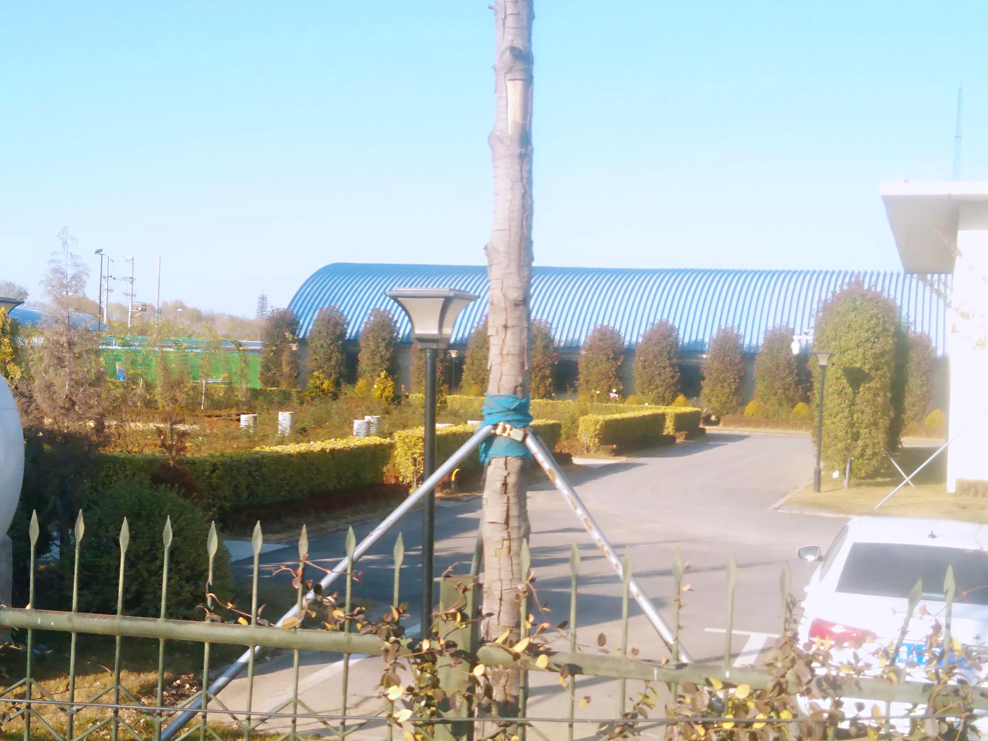 郑州惠济区的花漫里开放了吗,漫花里花卉博览园现在还开放吗