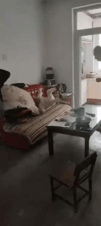 汪小菲的无奈戳中多少男人心声,汪小菲到底有多爱一个人