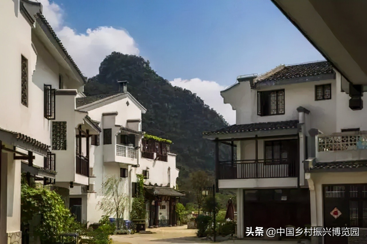 全国高校乡村振兴活动案例,乡村振兴巾帼行动优秀案例