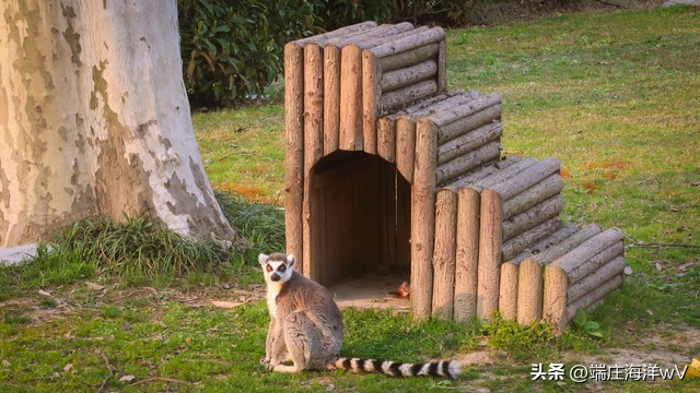 上海最值得去的打卡地,上海必去的打卡地合集