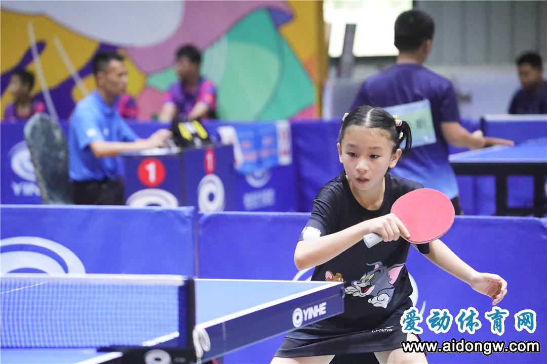 2019年海南省青少年乒乓球锦标赛,海南u12乒乓球比赛