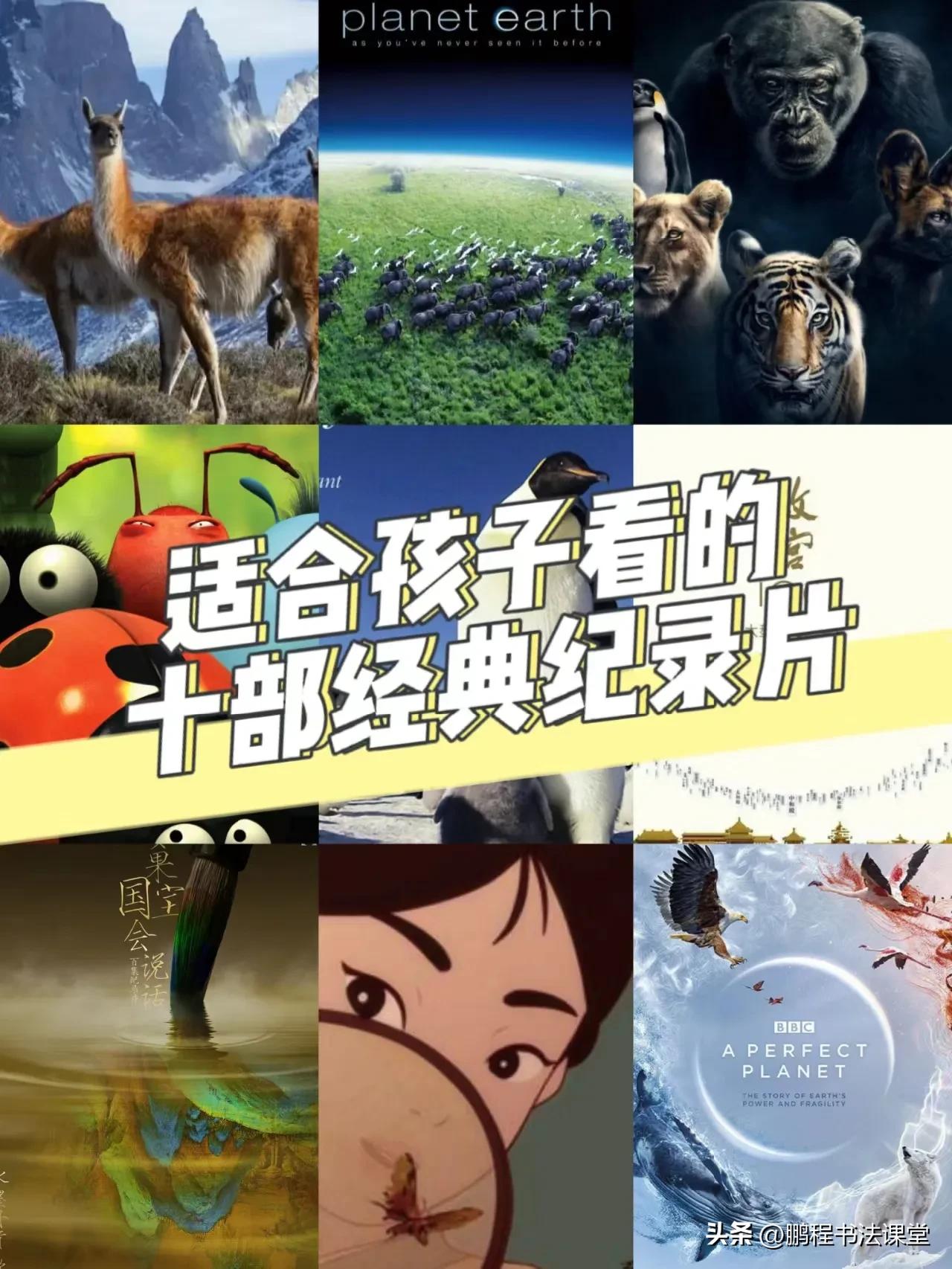 暑假学生推荐纪录片,暑假中学生适合看的纪录片