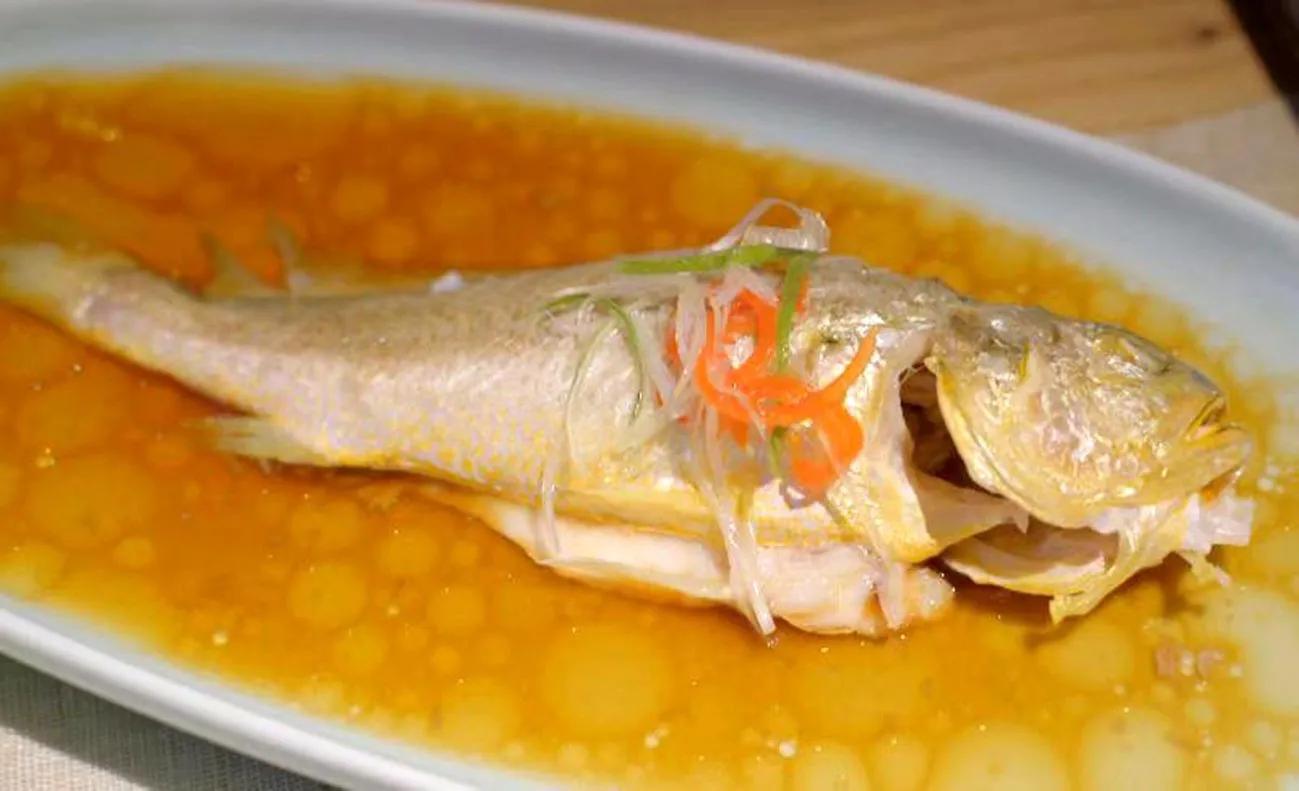 100种常见海鱼大全,常吃的海鱼图片及介绍