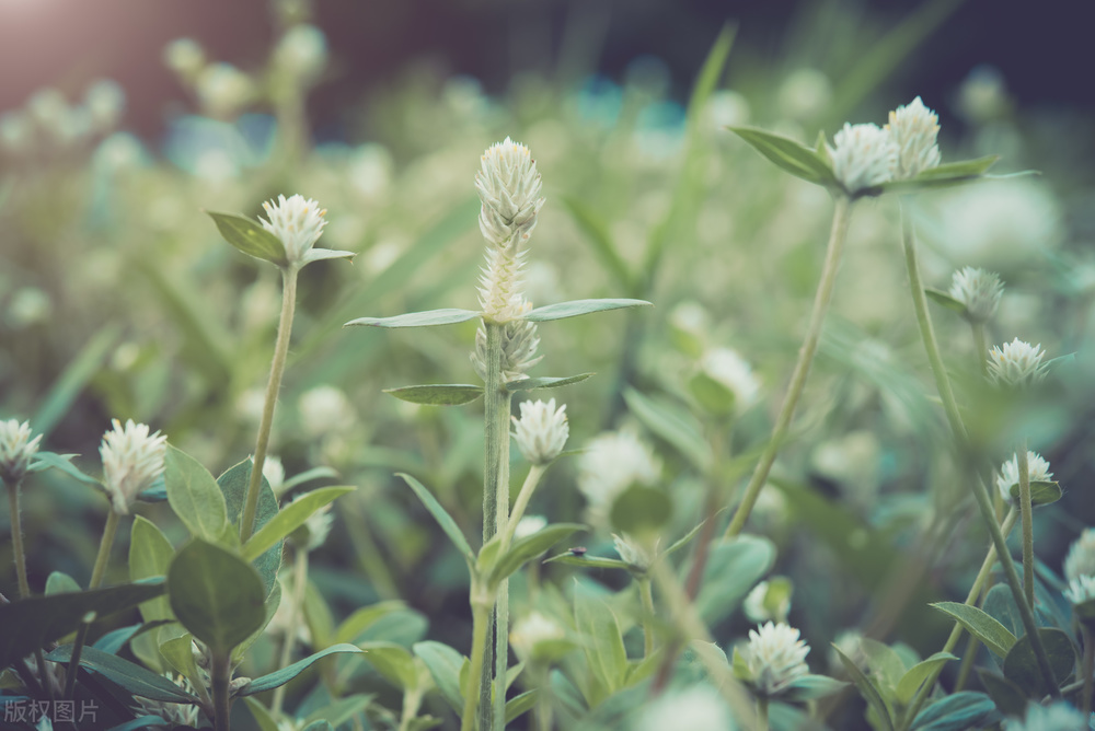 退休之后十件事千万不要再做了,退休了的人还继续工作是什么原因