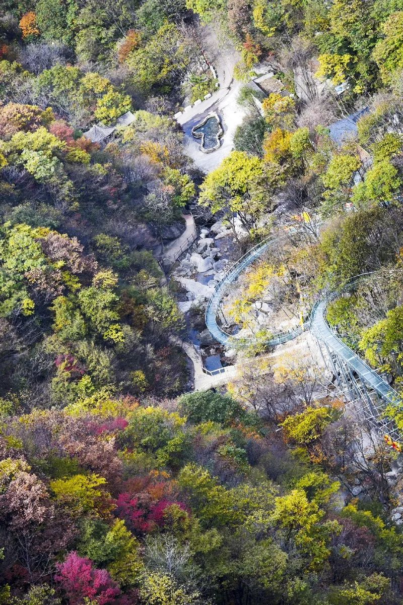 洛阳网红打卡地推荐,洛阳又一个网红打卡地