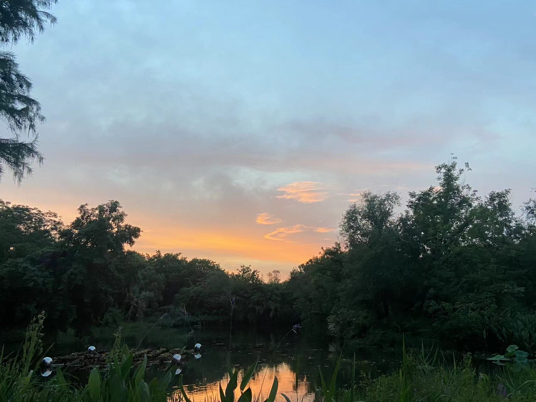 家里被虫咬又痒又痛,被虫子蛰了很痒