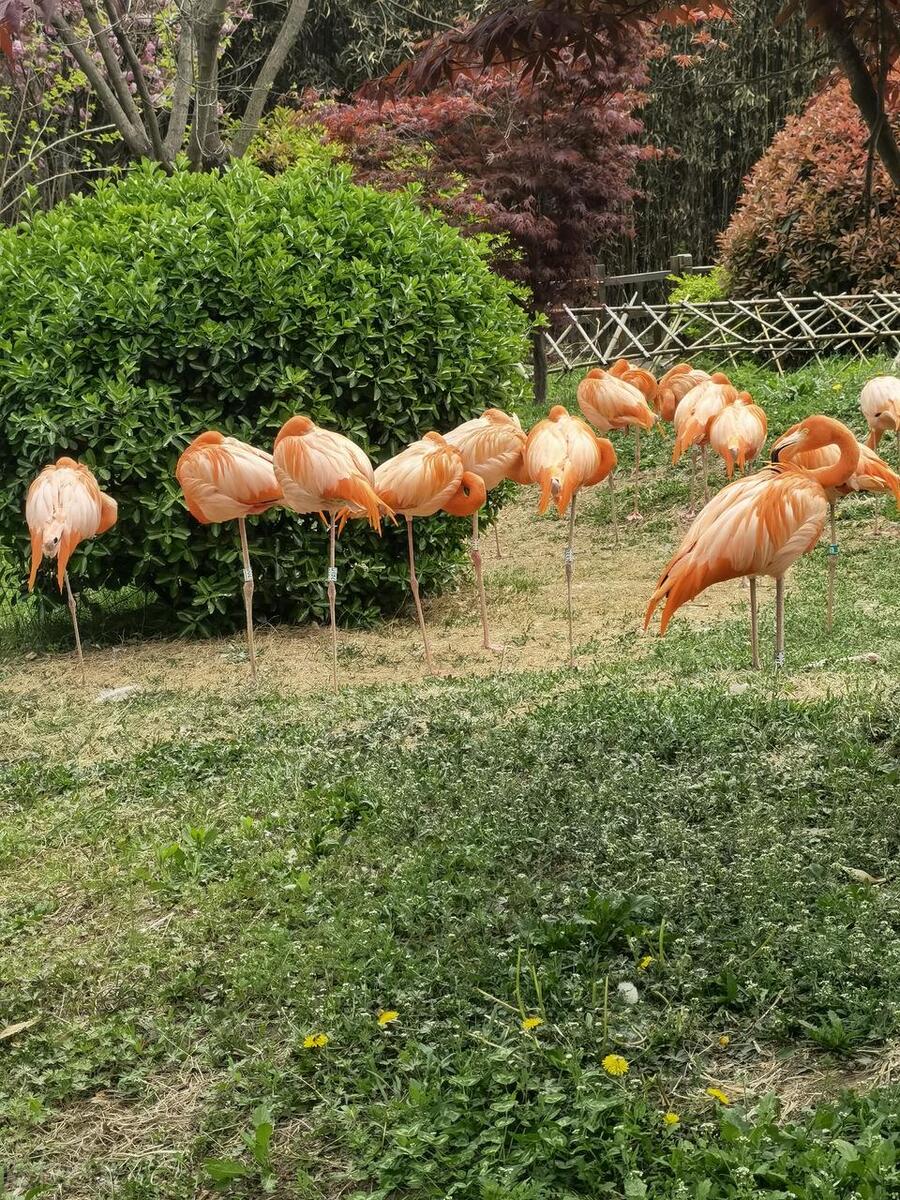 青岛周边十大景点排行榜,冬天青岛必去十大景点