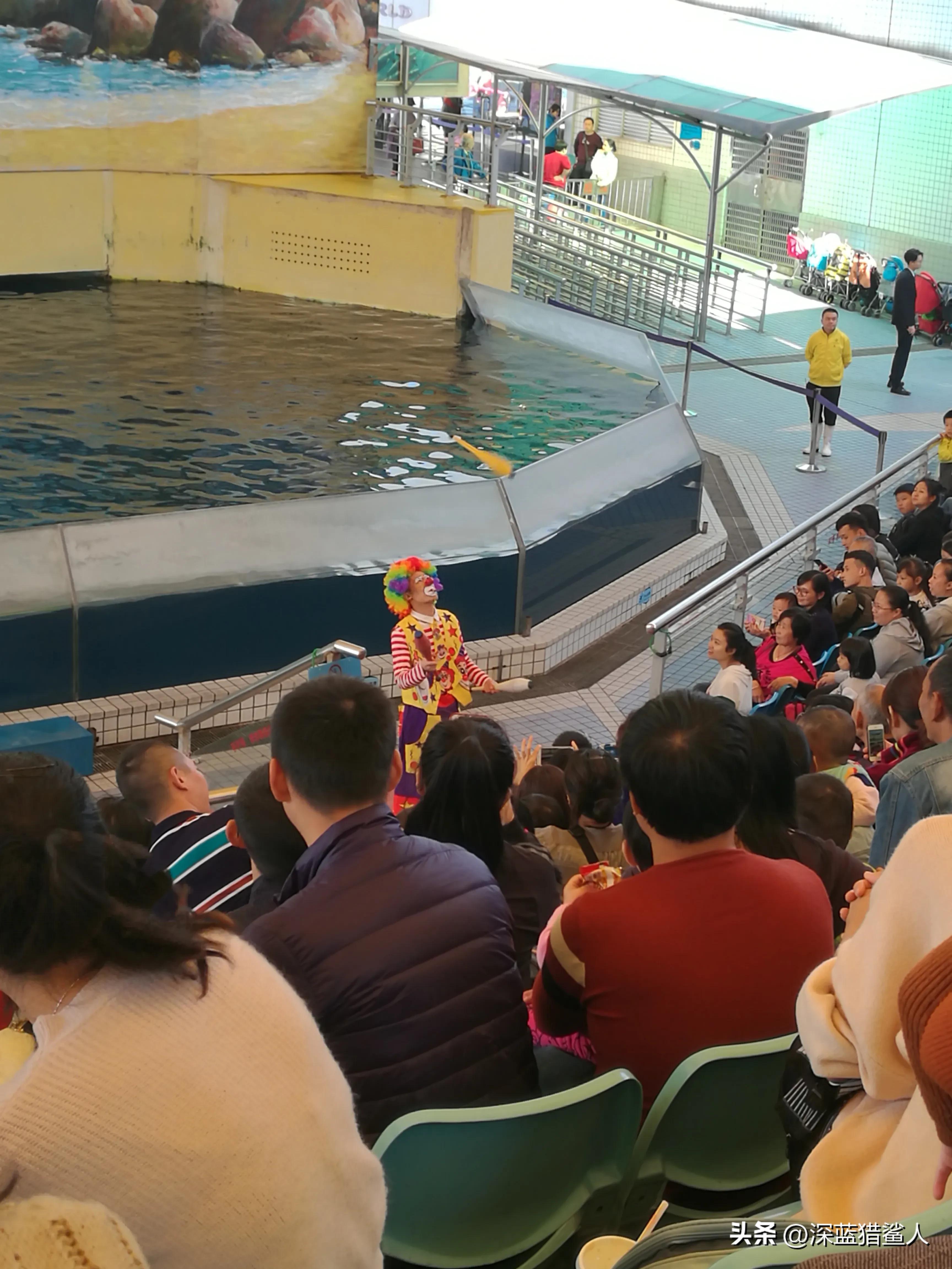 现在的广州动物园人山人海,近期广州动物园今天人多吗