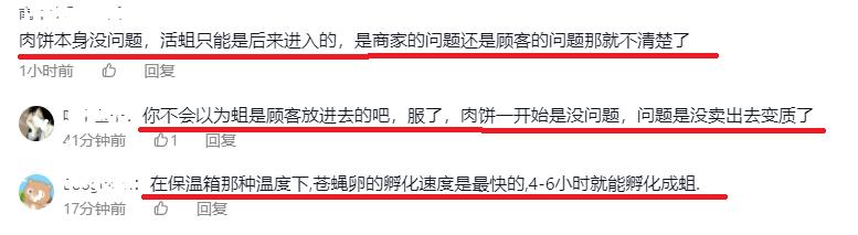 网友买饼发现虫,网友在华莱士汉堡吃出整块生肉