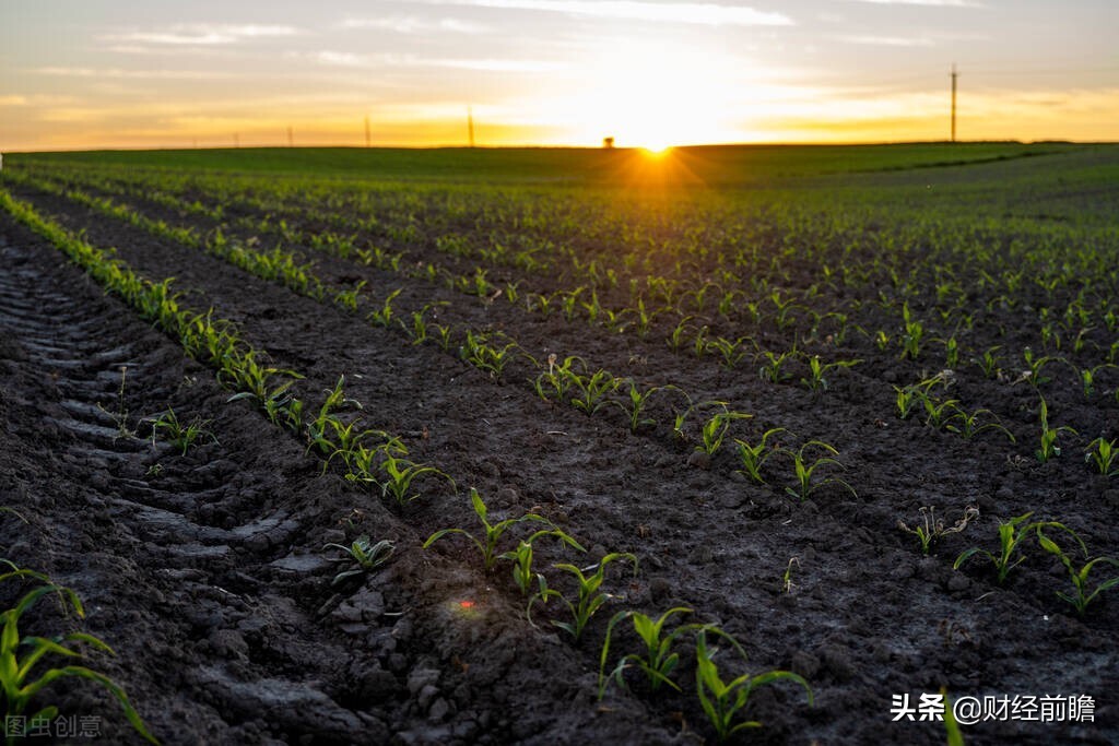 农村房屋确权公告已经公示,确权最新政策农村
