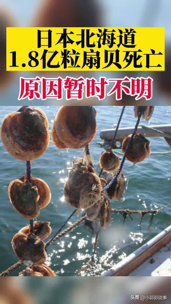 太仓购买日本核辐射食品,江苏太仓查出辐射海产品