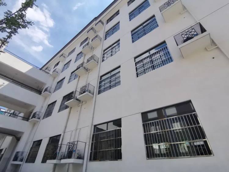 常州实验小学视频,常州市新桥实验小学一校