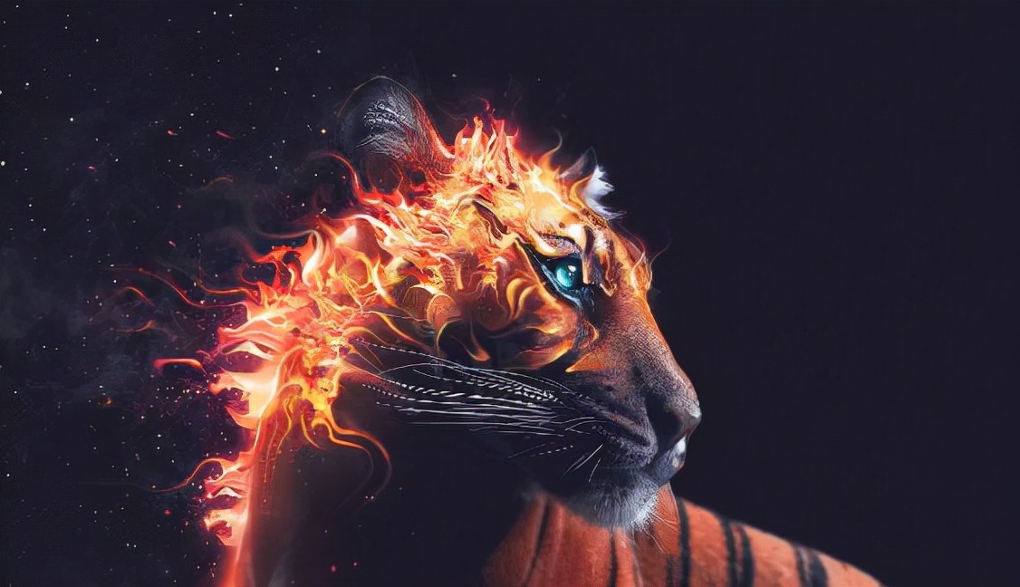 全球十大罕见黑色神兽,最昂贵的十大黑动物