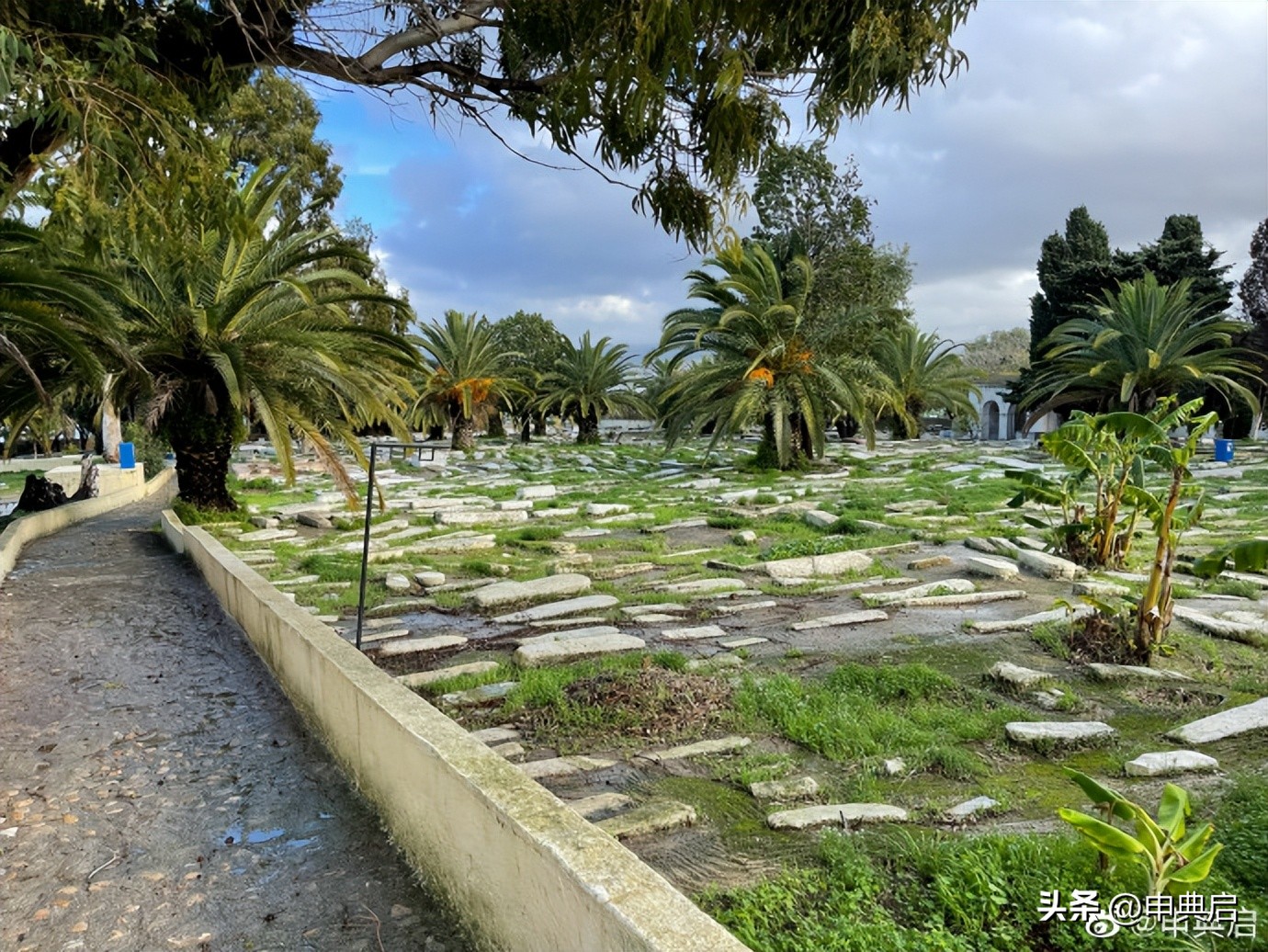 犹太墓地,犹太人墓地遗址是什么